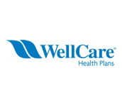 WellCare Health Plans - Sistemas de CFTV, Intruso Perimetral